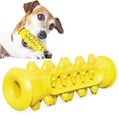 Rubber Pet Dog Toothbrush Cleaning Toys Chew Bone Food Dog Toy Ball Set Made in China