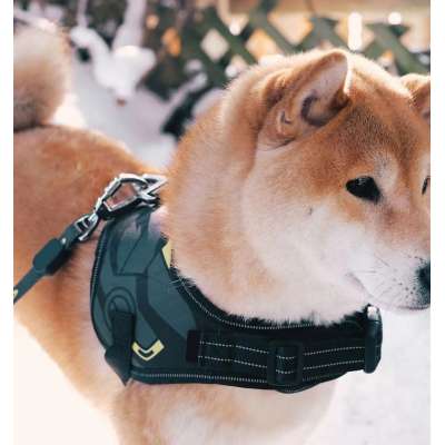 Hot selling newest pet products luxury dog collar leashes tactical custom big dog collar chest belt vest pet accessories