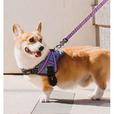 Durable wholesale dog leash and collar climbing rope dog leash with handle