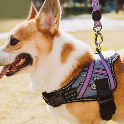 Pet Straps, Novel Pattern Design Purple Adjustable Dog Collar,ABS Dog Harness Reflective Tape Pet Straps